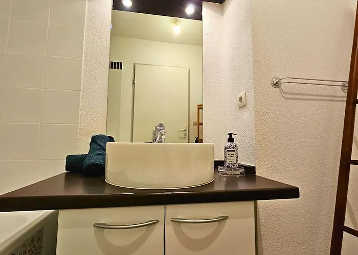 L'evasion Carcassonnais Avec Terrasse 2 Places De Parking Privee *