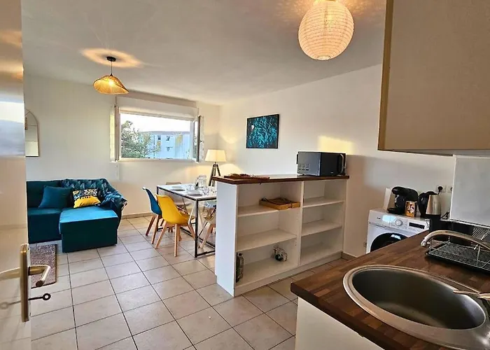 L'evasion Carcassonnais Avec Terrasse 2 Places De Parking Privee Apartment *