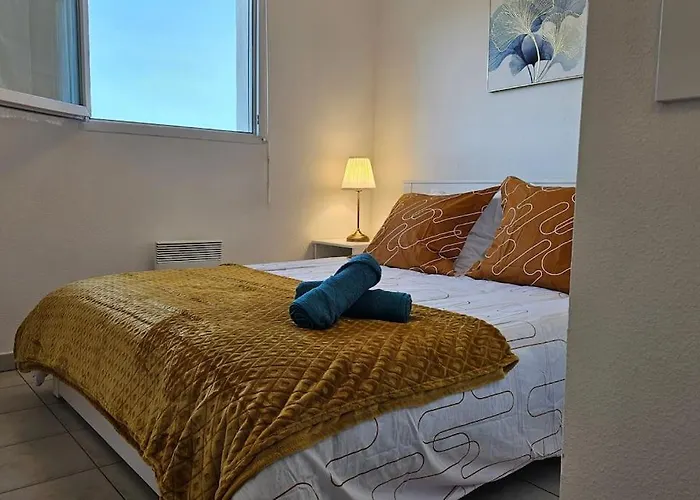 L'evasion Carcassonnais Avec Terrasse 2 Places De Parking Privee