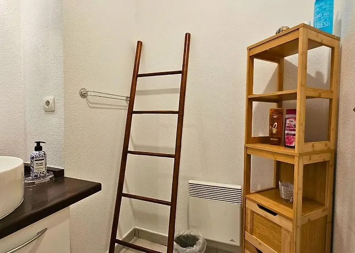 L'evasion Carcassonnais Avec Terrasse 2 Places De Parking Privee *