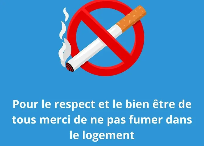 L'evasion Carcassonnais Avec Terrasse 2 Places De Parking Privee Carcassonne